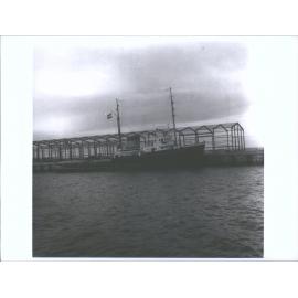 BLUFF-RODE ZEE (1) (DUTCH TUG)
