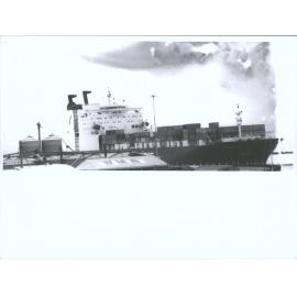 BOOGABILLA (3)