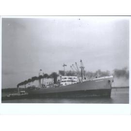 BRAZILIAN PRINCE (2)