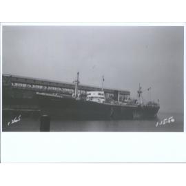 BRAZILIAN PRINCE (4)