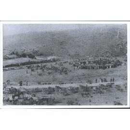Show Grounds