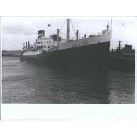 BRISBANE STAR (6)