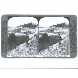 Caroline Bay, Timaru, New Zealand