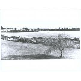 Caroline Bay, Timaru, N.Z.