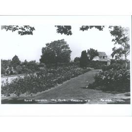Rose Garden, The Park, Timaru, N.Z.