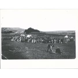 Tokanui Picnic