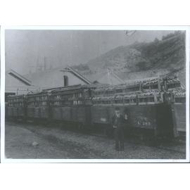 Rabbit Train at Port Chalmers