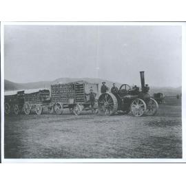 Traction Engine pulling Rabbit Carts (Lawrence?)