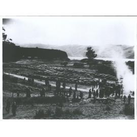 OTAKOU Centennial