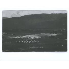 Trentham Military Camp