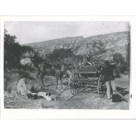 Unidentified group in Trotters Gorge