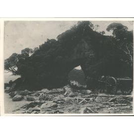 Puysegur Point, Preservation Inlet N.Z.