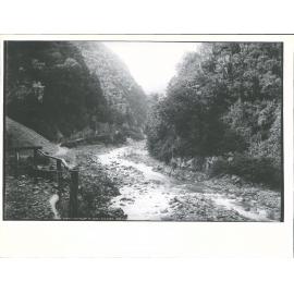 Looking up W. Coast Road