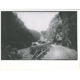 Looking down W. Coast Rd