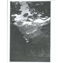 En Route to Milford Sound