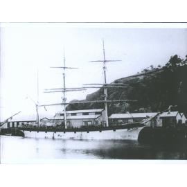Cynisca