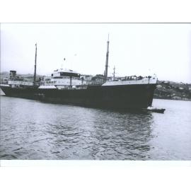 Daronia