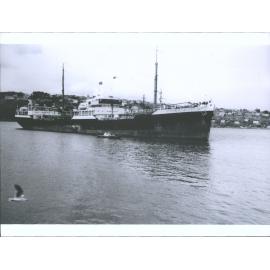 Daronia