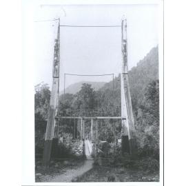 Wire suspension bridge