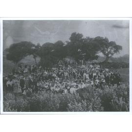 DRAPERS PICNIC (1st)