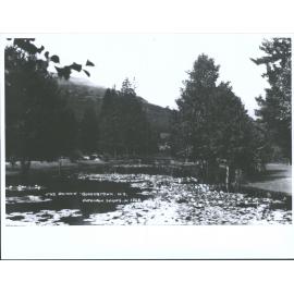 The Domain, Queenstown, N.Z.