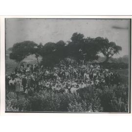 First Drapers' Picnic