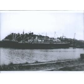 Danneborg