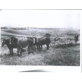 Plough in operation before gold boom