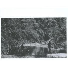 Fishing in the Waikanae River
