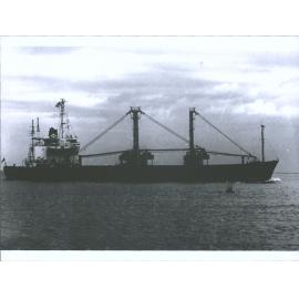 DUNEDIN (CONTAINER SHIP)