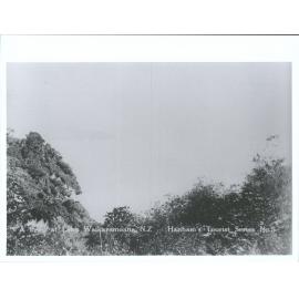 A Peep at Lake Waikaremoana, N.Z.