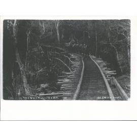 Sawmill Tramway, Waikawa