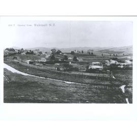 General View, Waikouaiti, N.Z.