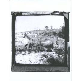 J. Chisholm Glass Lantern Slide 215