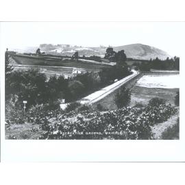 The Recreation Ground, Waikouaiti, N.Z.