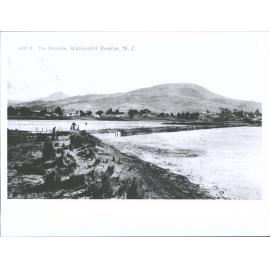 The Turnstile, Waikouaiti Reserve, N.Z.