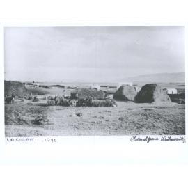 Island Farm, Waikouaiti