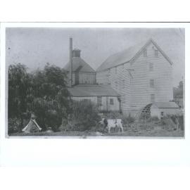 Cherry Farm