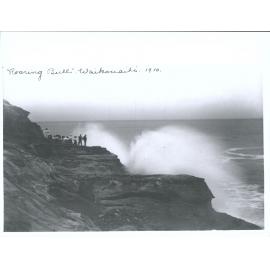 Roaring Bull, Waikouaiti