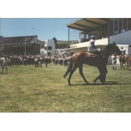 Waikouaiti Races