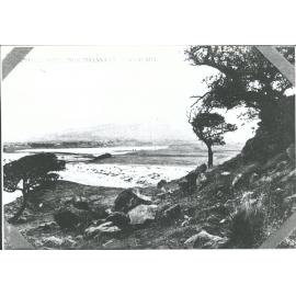 Pretty Peep from Matanaka, Waikouaiti