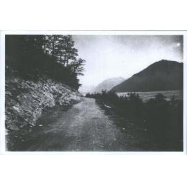 Waimakariri near Glacier House