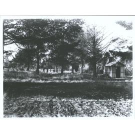The Motor Camp, Waimate, N.Z.