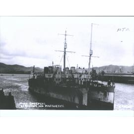 GERANIUM + MARGUERITE