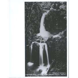 Sander's Fall, Keley's Bush, Waimate, N.Z.