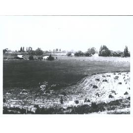 Harvesting, Waimea Plains, Nelson, N.Z.