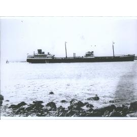 HAMINEA