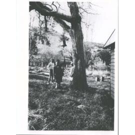 The Church Bell on the Old Ribbonwood Tree, Rapaki Port Cooper