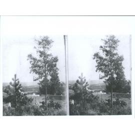 North West Corner of Frederick William Knight's Plantation, Looking West