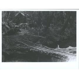 Waipoua State Forest, Showing a Maori Bridge